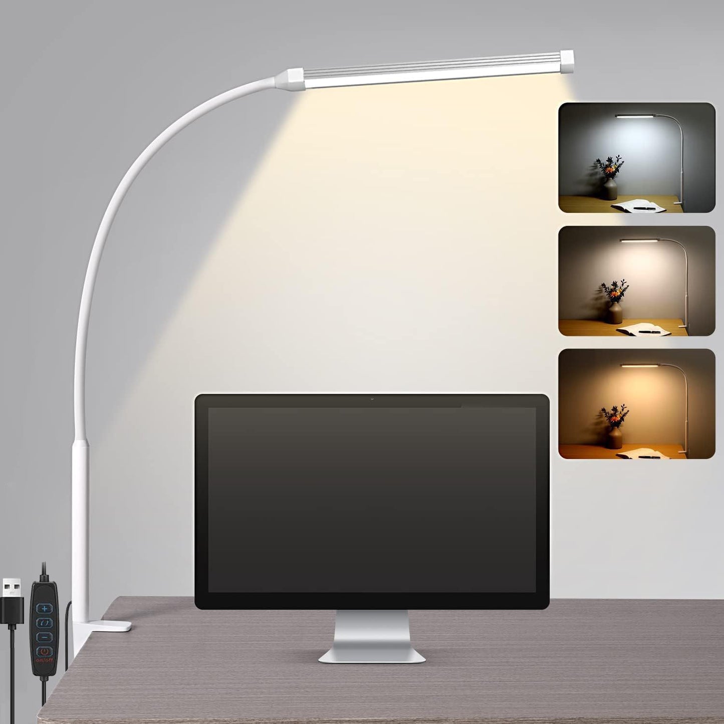 Clamp Desk Lamp